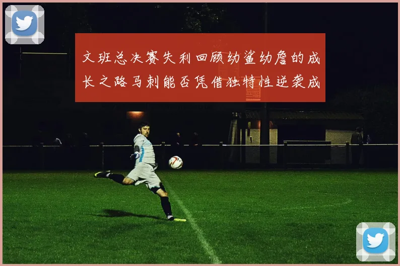 文班总决赛失利回顾幼鲨幼詹的成长之路马刺能否凭借独特性逆袭成功