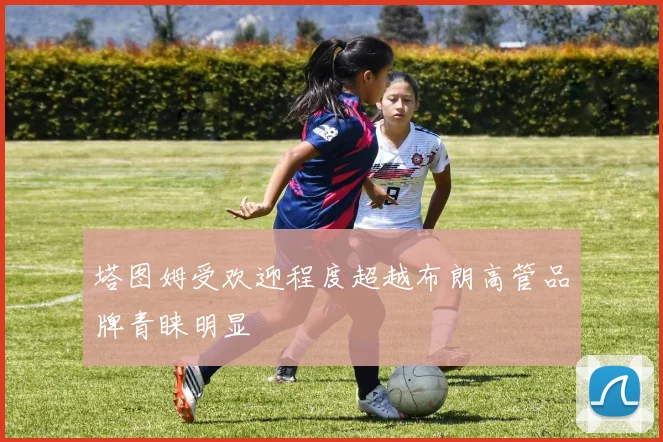 塔图姆受欢迎程度超越布朗高管品牌青睐明显
